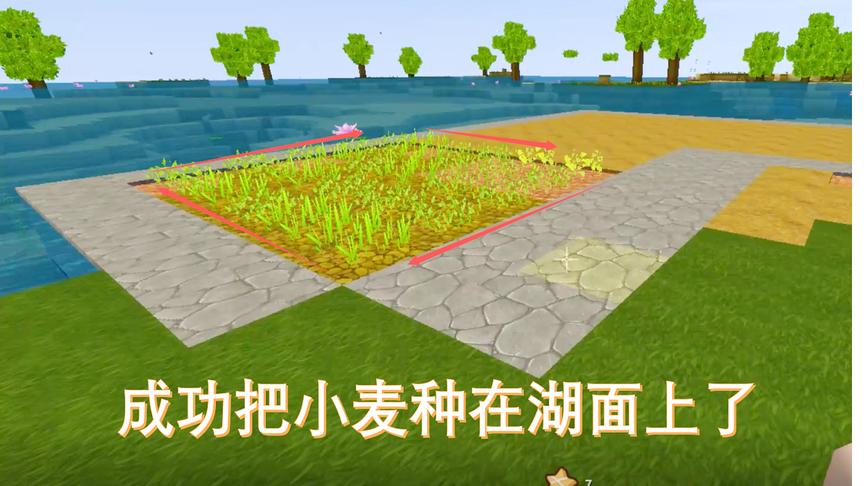 迷你世界26：听取粉丝的意见，我突发奇想，要把麦子种在湖面上