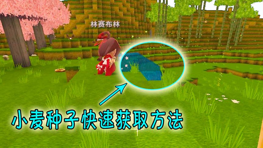 迷你世界：半拉要开始种食物，小伙伴带半拉找种子，这方法你会吗