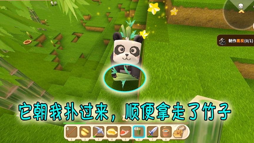 迷你世界：我想要驯服这只熊猫，用竹子引诱它，它扑过来抢走竹子