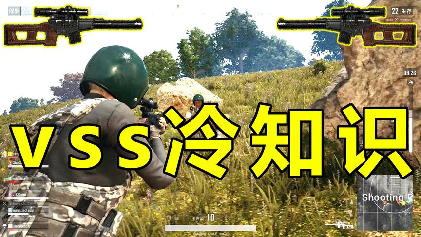 绝地求生：最尴尬的狙击枪，自带四倍镜，叮咬般的