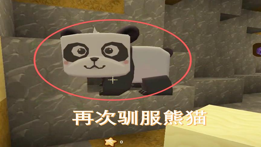 迷你世界32：去野外训狗的时候，来到桃花林再次发现熊猫成功驯服