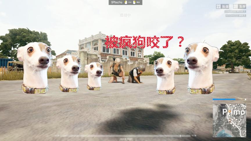 搞笑《绝地求生》给狂犬病队友找骨头，结果被疯狗追咬