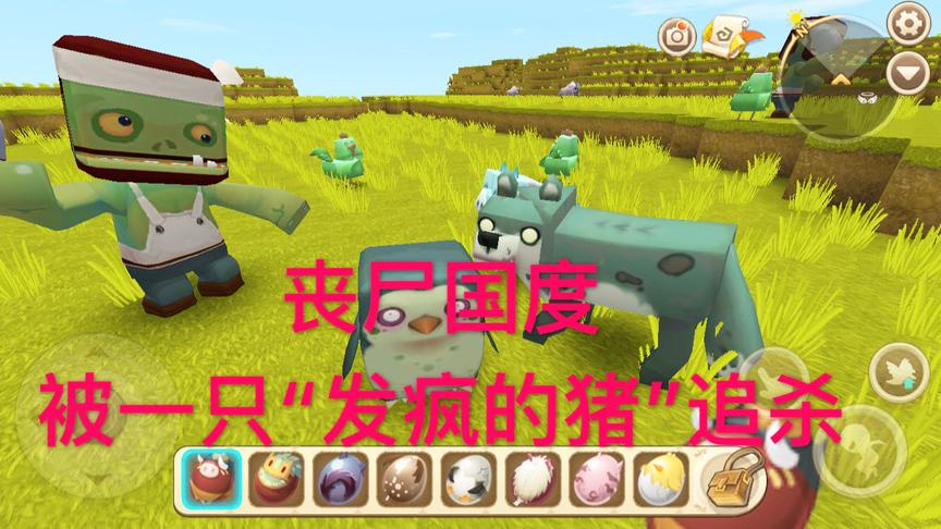 迷你世界：我被一只“发疯的猪”追杀！迷你世界发生了生化危机！