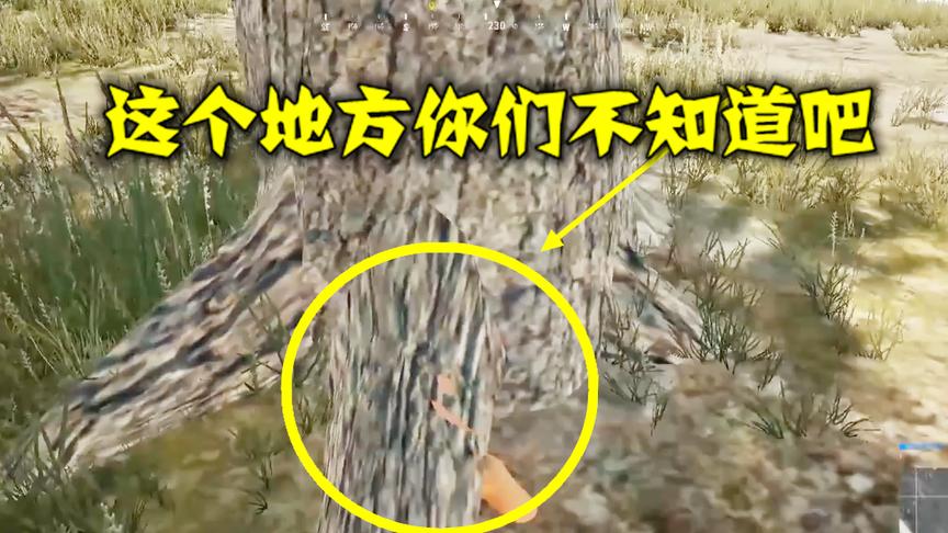 绝地求生：化身成树人，他用一把左轮手枪趴进前三！