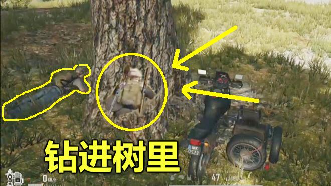 绝地求生：把自己变成一棵树，对手在旁边趴了10分钟，都看不见我