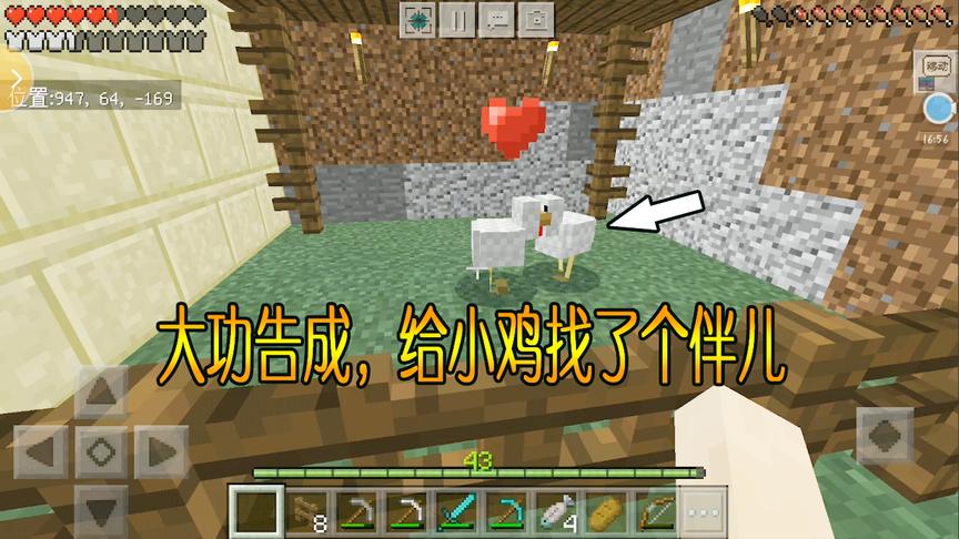 我的世界29：原来抓鸡也有套路，学会这招抓鸡简直手到擒来