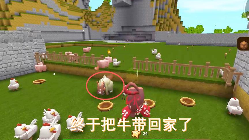 迷你世界49：把我好不容易找到的牛带回家，结果半路摔死了一头牛