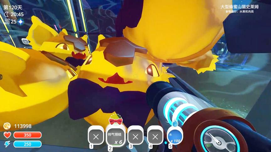 给喵星人带上蝴蝶结，帅气又可爱！这样的萌宠谁都喜欢！