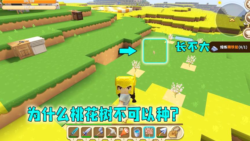迷你世界：我种下两排桃花树，就合了个影，桃花树为啥就不见了？