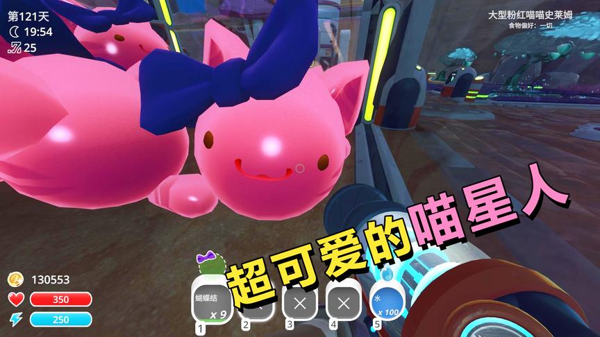 给喵星人带上蝴蝶发卡，是不是变得更可爱了？你喜欢吗？