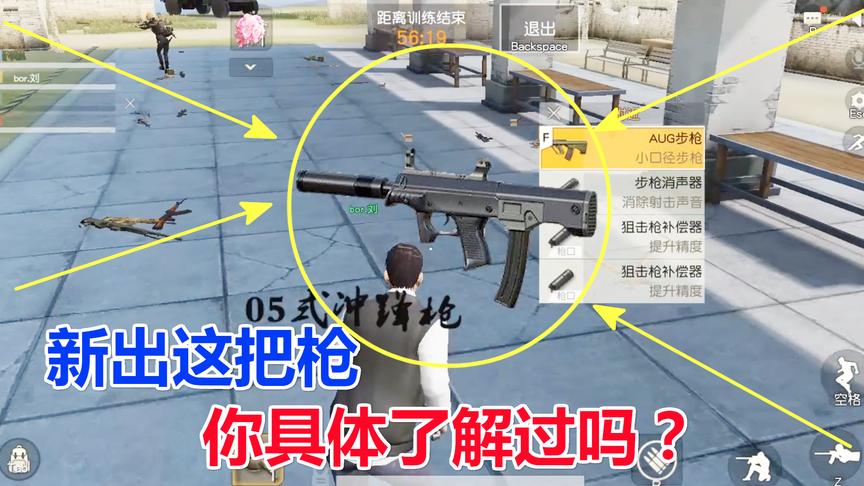 荒野行动 新出来的这把枪你知道她的威力吗