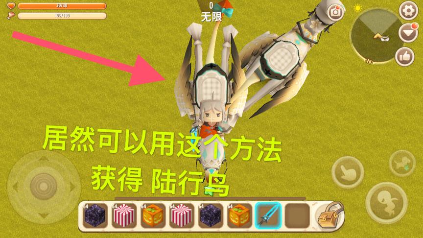 迷你世界：居然可以用这个法快速获得 陆行鸟坐骑！我也有坐骑啦
