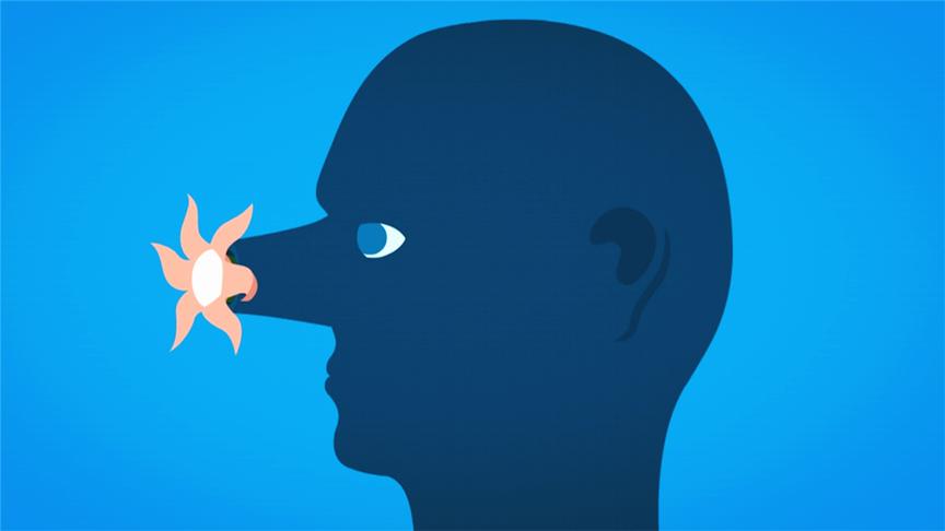 非常神奇的游戏！脑洞大开，鲤鱼Ace解说