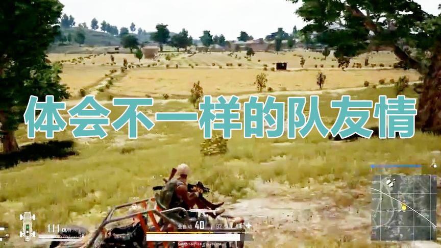 某幻绝地求生 如何察言观色体会队友的温情？
