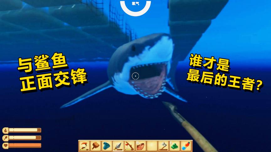 木筏求生：再也无法忍受鲨鱼的骚扰，船长下海大战鲨鱼！