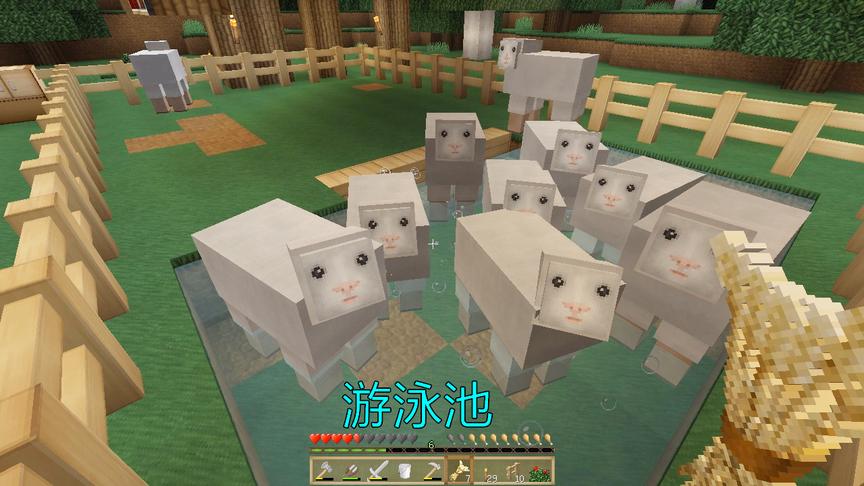 我的世界：给小羊们做了一个游泳池，他们泡在水里，再也不怕热了