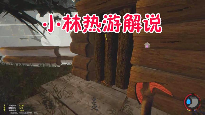 森林18：做个围墙差点将森林树木砍光了