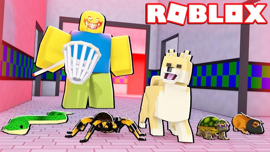 小飞象解说 Roblox宠物逃生 爆笑躲避追捕！变身外星老鼠！