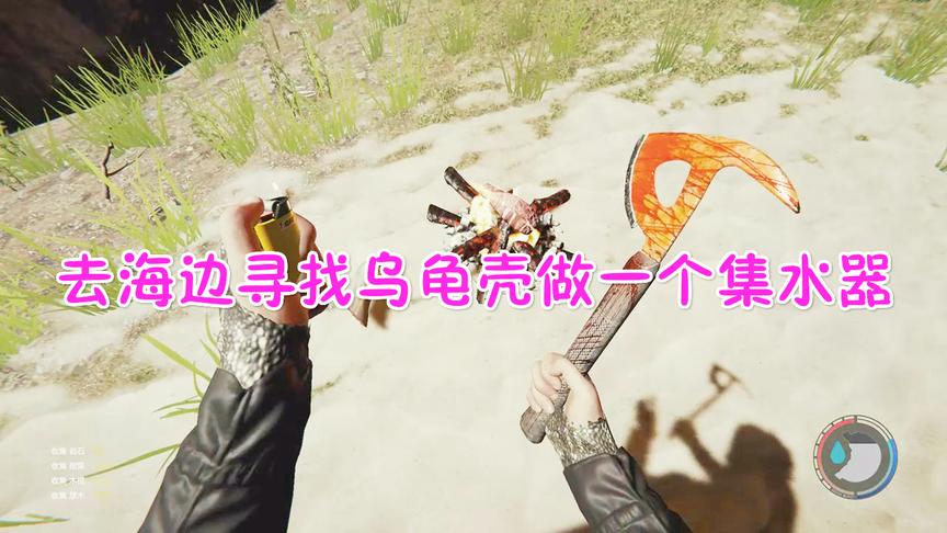 森林22：去海边寻找大海龟制作一个集水器