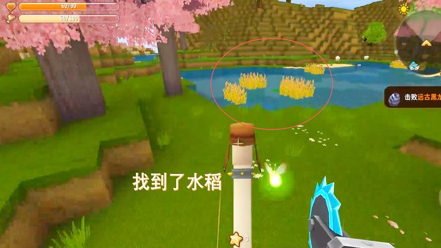 迷你世界122：我找到了很多水稻种在家里，以后不怕没米饭吃了