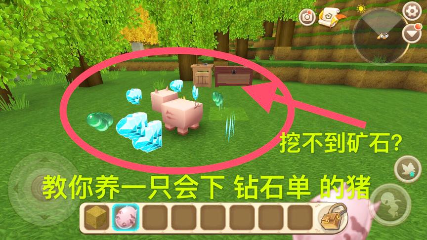 迷你世界：教你养殖一只会下“钻石”的猪！再也不怕挖不到钻石了