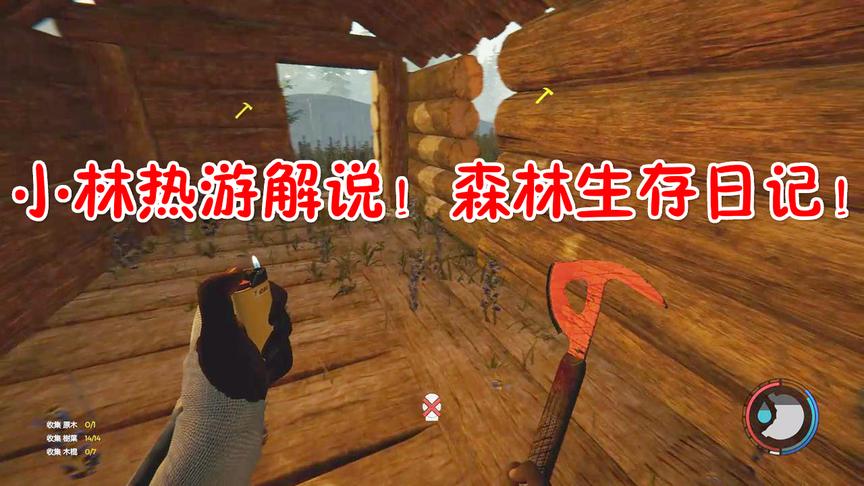 森林27：终于将木屋建造完毕了，两个人终于有睡觉的地方了