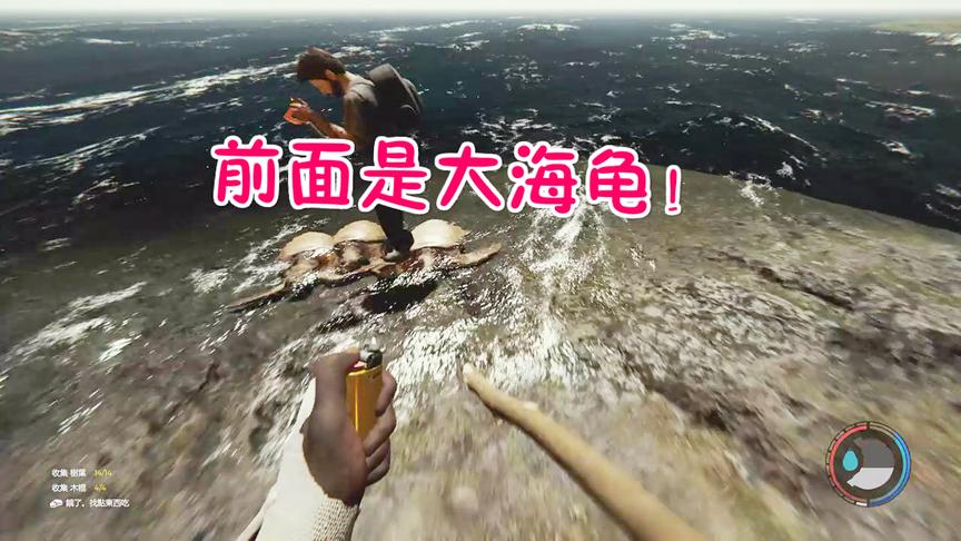 小林解说森林29：刚天亮两人就出去探险了只找到了几只乌龟