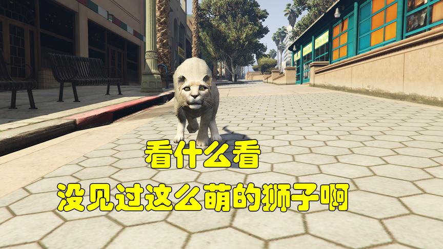 当你变成一头狮子时，感觉整个世界都可以吃