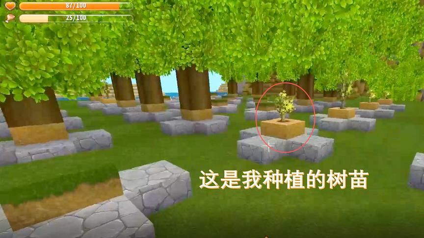 迷你世界134：砍完树木后重新种上了小树苗，让我的家园多一点绿
