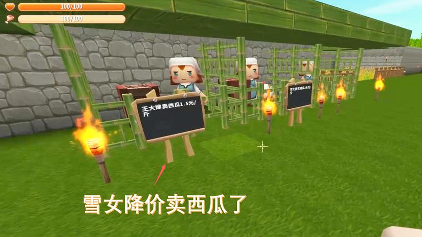 迷你世界149：炎热的夏天雪女开始卖西瓜了，小伙伴们快来看一看
