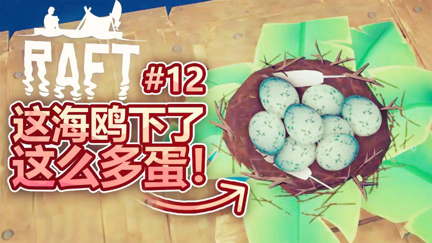 孤筏求生：海鸥飞到我做的鸟巢里下蛋，没想到居然下这么多！
