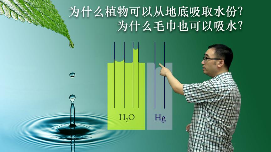 为啥毛巾能吸水？植物咋把水从根运到叶子的？李永乐老师讲毛细现象