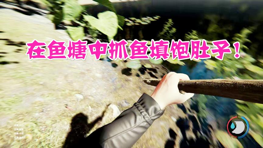 森林41：教会大家如何在鱼塘中抓鱼求生