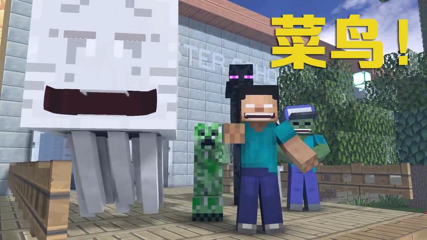 MC动画《游戏锦标赛》EP2，进行赛前训练的菜鸟队遭到him队嘲笑