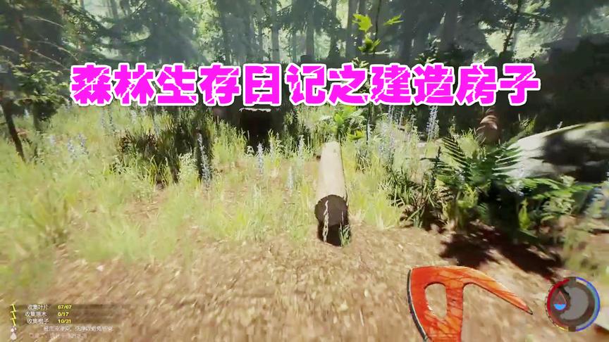 小林解说：为了搭建一所木屋森林的树木快被砍光了