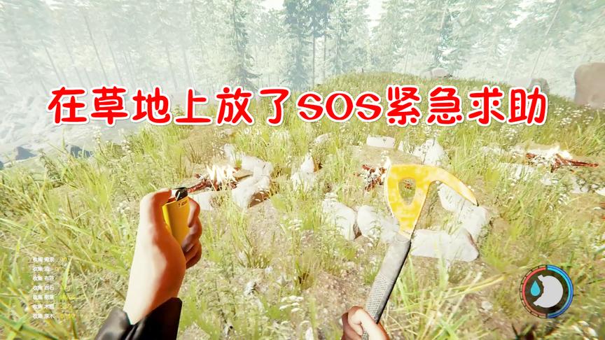 小林解说：在森林中用石头摆出SOS模样，希望有人能够看见