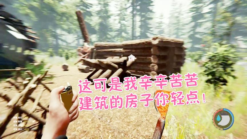 森林：附近的房子被八只手野怪给强拆了我只能躲进客机里面住了