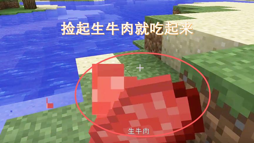 我的世界04：这几天可把小宇饿坏了，捡起地上的生牛肉就吃起来