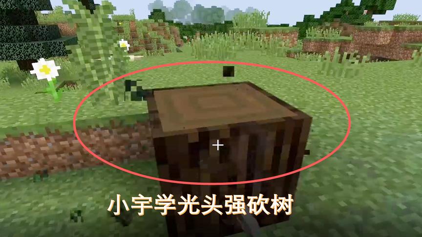 我的世界08：小宇学光头强砍树，不知道会不会招来熊大熊二