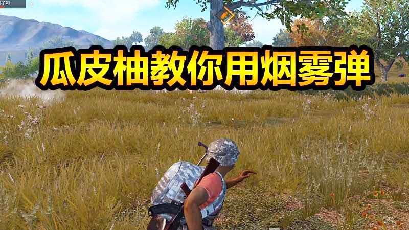 刺激战场：烟雾弹到底该怎么用？救队友需要扔这么多烟雾吗？