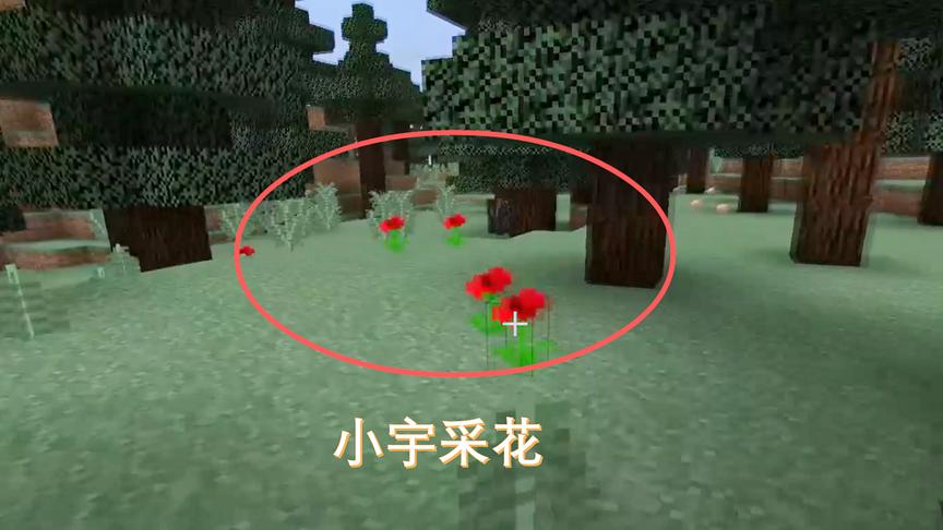 我的世界15：都说路边野花不要采，小宇为了装饰新家采了很多