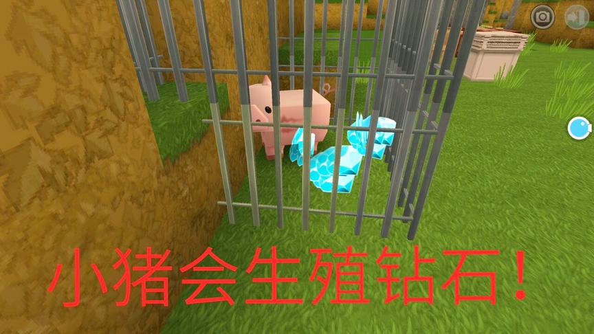 迷你世界：教你如何养殖”钻石猪“一只会下钻石的猪，你见过吗？