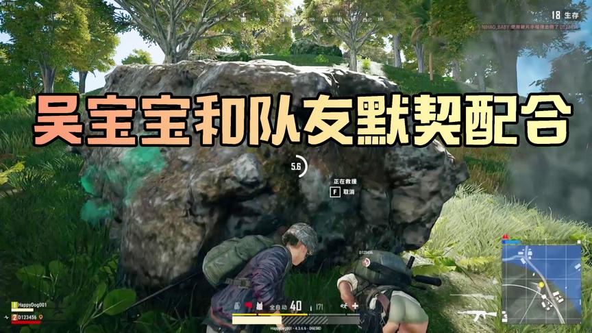 吴宝宝玩绝地求生难得遇到配合这么默契的队友 最后成功得了第一