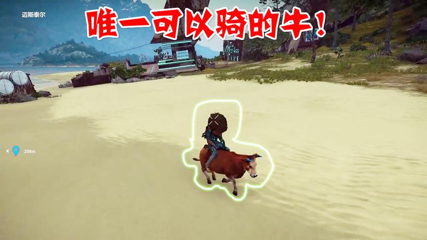 小林热游解说：奶牛的屁股上有纹身难道这就是传说中的奶牛王