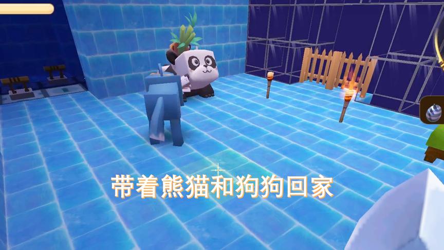 迷你世界217：飞船修好了，带着大熊猫和狗狗在万米高空自由航行
