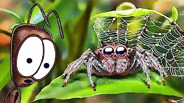 魔哒搞笑小小蚂蚁人有着环游世界的梦想