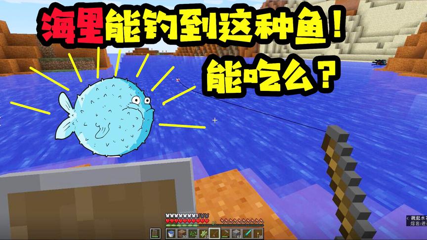 十七我的世界04：海洋新版本还能钓到这种鱼？这鱼不是河里的么？
