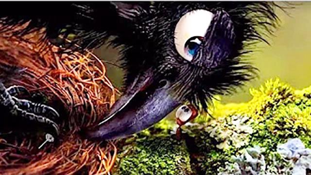 魔哒小小蚂蚁人 遇见乌鸦君