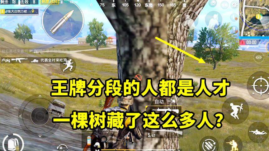刺激战场：你永远不知道一棵树后面可以藏多少人，我死而无憾！