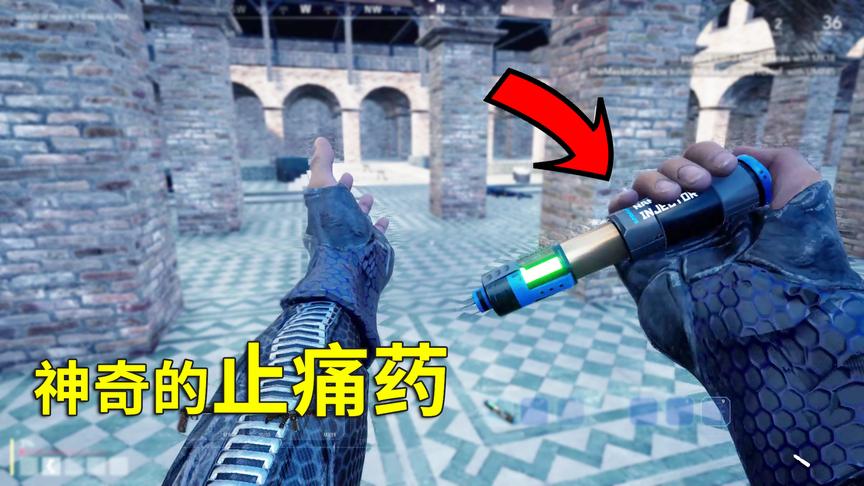 尼内岛绝地求生：边跑边打药，3秒回血！这不是刺激战场中的BUG？
